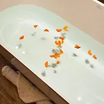 Aurora *